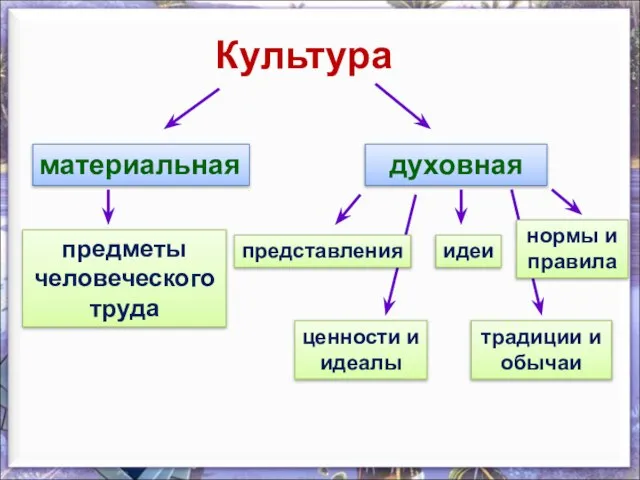 Культура материальная духовная предметы человеческого труда представления идеи ценности и идеалы традиции