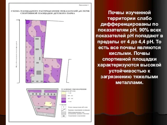 Почвы изученной территории слабо дифференцированы по показателям рН. 90% всех показателей рН