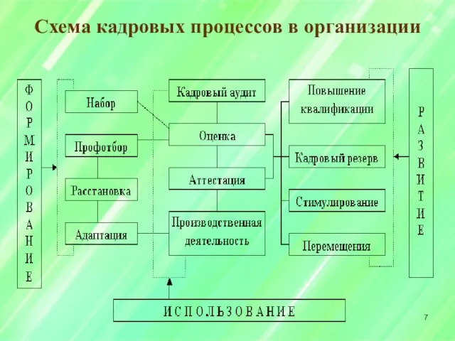 Схема кадровых процессов в организации