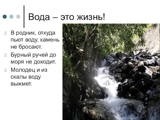 Вода – это жизнь! В родник, откуда пьют воду, камень не бросают.