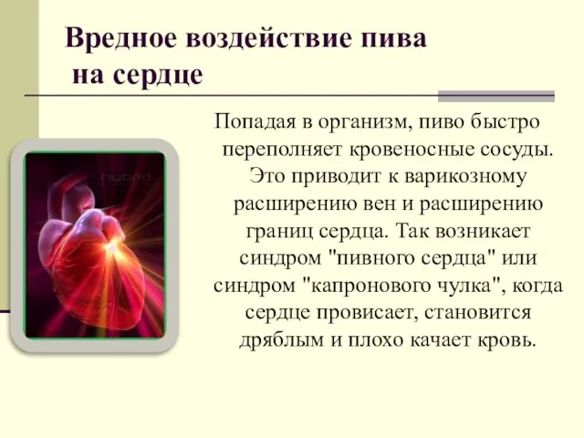 Вредное воздействие пива на сердце Попадая в организм, пиво быстро переполняет кровеносные