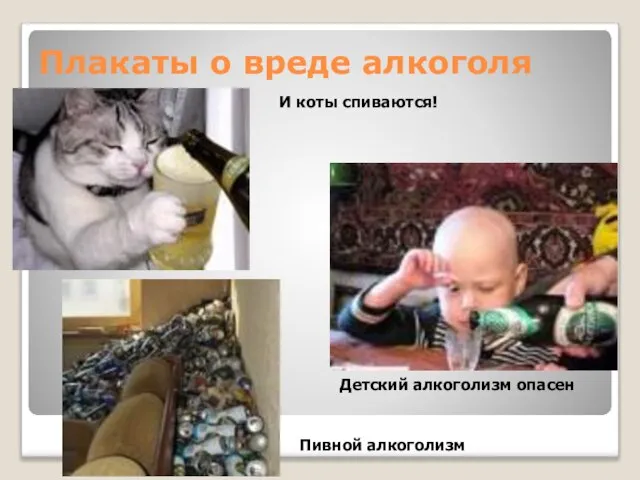 Плакаты о вреде алкоголя И коты спиваются! Детский алкоголизм опасен Пивной алкоголизм