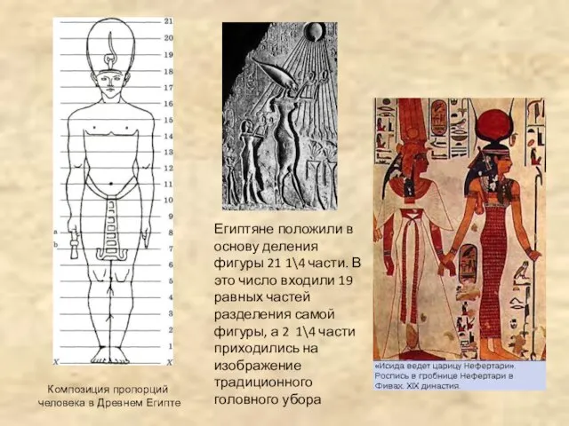 Композиция пропорций человека в Древнем Египте Египтяне положили в основу деления фигуры