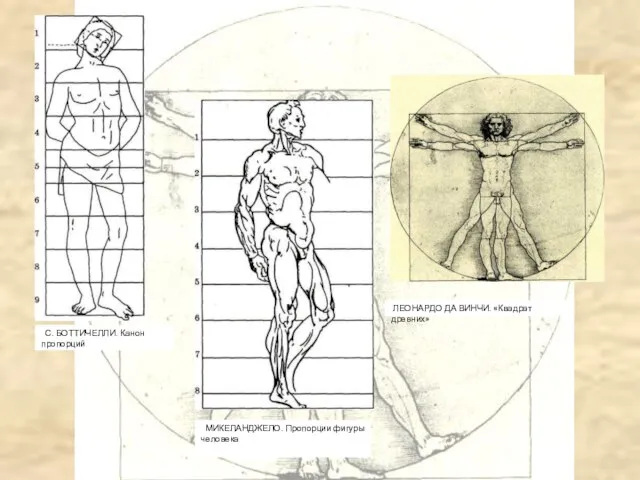 МИКЕЛАНДЖЕЛО. Пропорции фигуры человека С. БОТТИЧЕЛЛИ. Канон пропорций ЛЕОНАРДО ДА ВИНЧИ. «Квадрат древних»