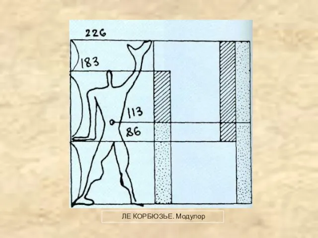 ЛЕ КОРБЮЗЬЕ. Модулор