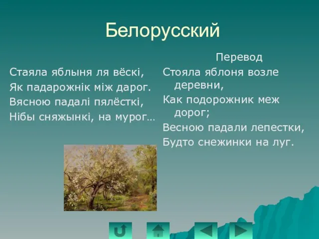 Белорусский Стаяла яблыня ля вёскi, Як падарожнiк мiж дарог. Вясною падалi пялёсткi,