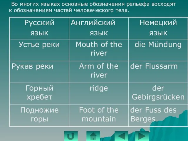 Во многих языках основные обозначения рельефа восходят к обозначениям частей человеческого тела.