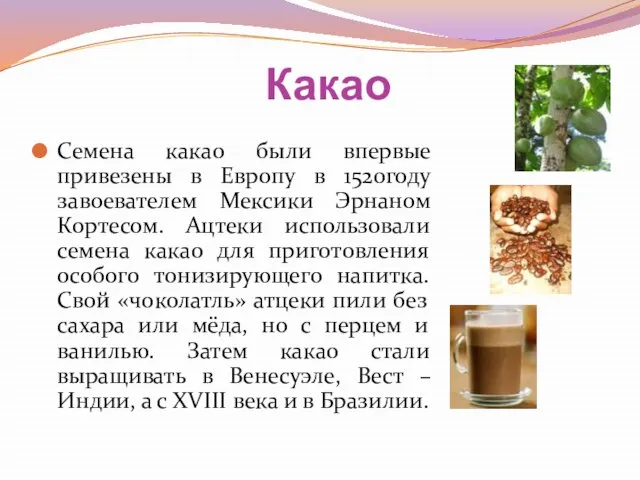 Какао Семена какао были впервые привезены в Европу в 1520году завоевателем Мексики