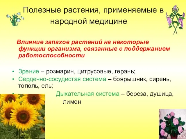 Полезные растения, применяемые в народной медицине Влияние запахов растений на некоторые функции