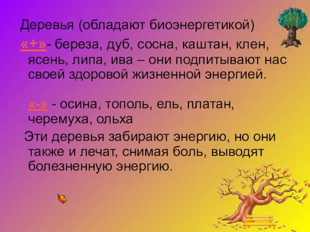 Деревья (обладают биоэнергетикой) «+»- береза, дуб, сосна, каштан, клен, ясень, липа, ива