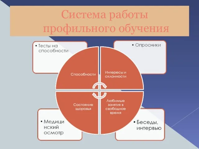 Система работы профильного обучения