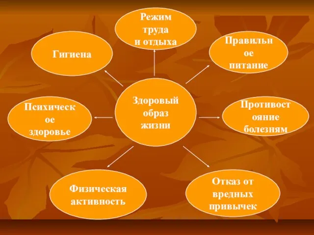 Здоровый образ жизни Режим труда и отдыха Гигиена Правильное питание Психическое здоровье