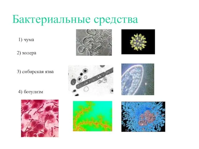 Бактериальные средства 1) чума 2) холера 3) сибирская язва 4) ботулизм