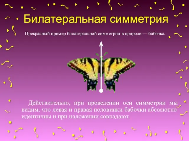Билатеральная симметрия Прекрасный пример билатеральной симметрии в природе — бабочка. Действительно, при