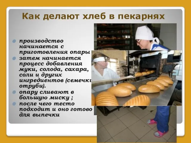 Как делают хлеб в пекарнях производство начинается с приготовления опары затем начинается