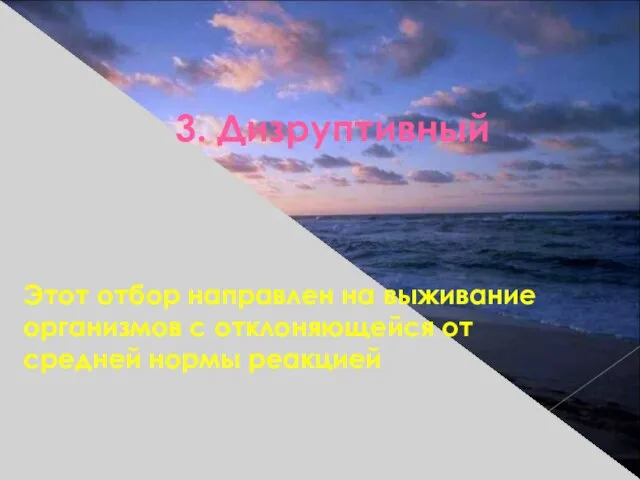 3. Дизруптивный Этот отбор направлен на выживание организмов с отклоняющейся от средней нормы реакцией