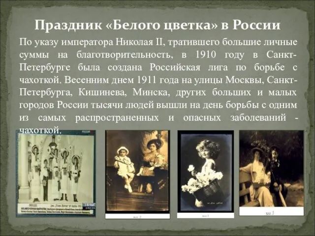 Праздник «Белого цветка» в России По указу императора Николая II, тратившего большие