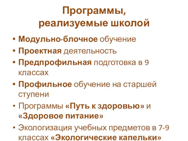 Программы, реализуемые школой Модульно-блочное обучение Проектная деятельность Предпрофильная подготовка в 9 классах