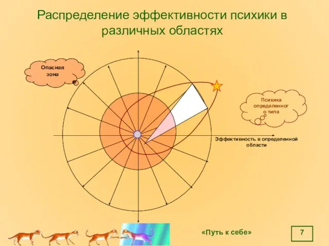 Распределение эффективности психики в различных областях Эффективность в определенной области Психика определенного типа Опасная зона