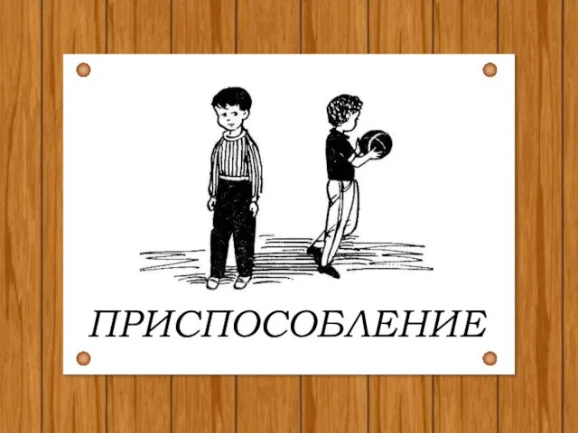 ПРИСПОСОБЛЕНИЕ