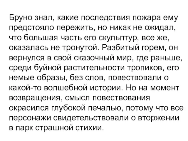 Бруно знал, какие последствия пожара ему предстояло пережить, но никак не ожидал,