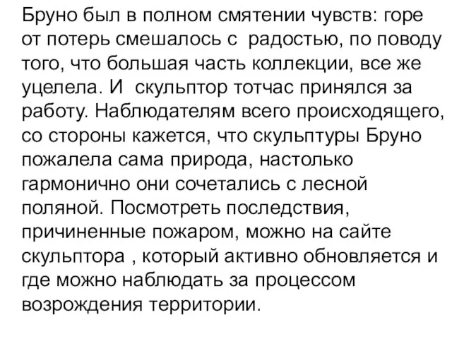 Бруно был в полном смятении чувств: горе от потерь смешалось с радостью,