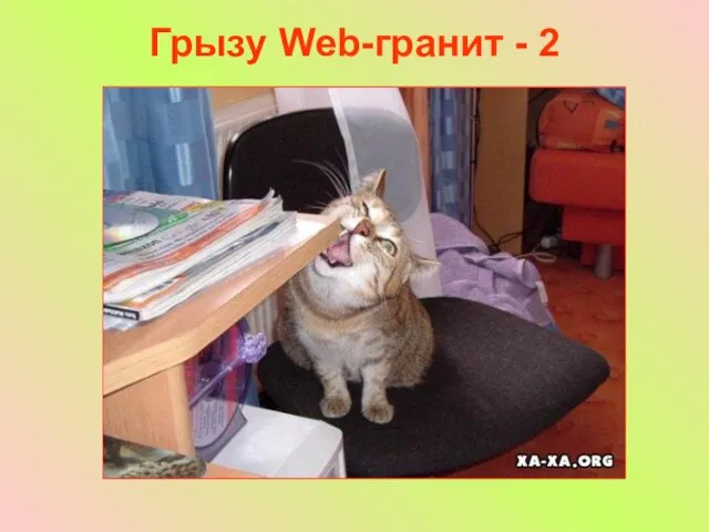 Грызу Web-гранит - 2