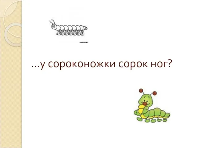 …у сороконожки сорок ног?