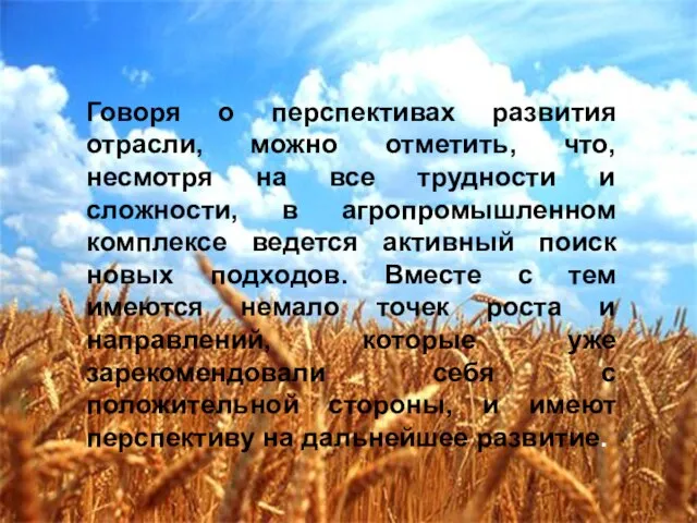 Говоря о перспективах развития отрасли, можно отметить, что, несмотря на все трудности