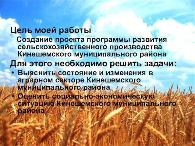 Цель моей работы Создание проекта программы развития сельскохозяйственного производства Кинешемского муниципального района