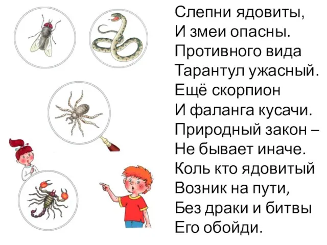 Слепни ядовиты, И змеи опасны. Противного вида Тарантул ужасный. Ещё скорпион И