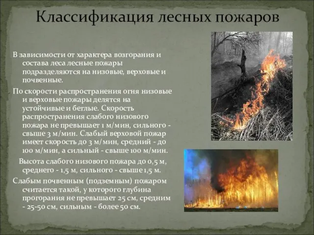 В зависимости от характера возгорания и состава леса лесные пожары подразделяются на