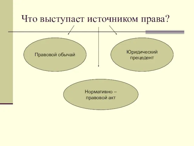 Что выступает источником права? Правовой обычай Юридический прецедент Нормативно – правовой акт