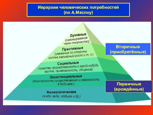 Иерархия человеческих потребностей (по А.Маслоу) Вторичные (приобретённые) Первичные (врождённые)