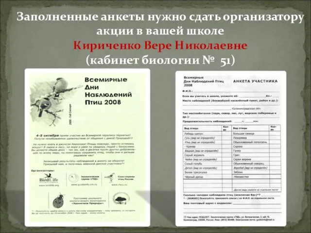 Заполненные анкеты нужно сдать организатору акции в вашей школе Кириченко Вере Николаевне (кабинет биологии № 51)