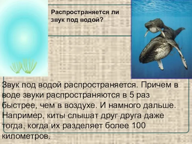 Звук под водой распространяется. Причем в воде звуки распространяются в 5 раз