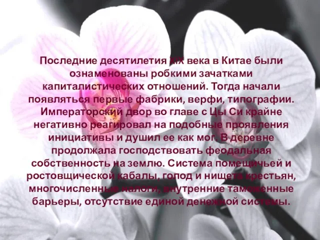 Последние десятилетия XIX века в Китае были ознаменованы робкими зачатками капиталистических отношений.