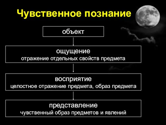 Чувственное познание объект ощущение отражение отдельных свойств предмета представление чувственный образ предметов