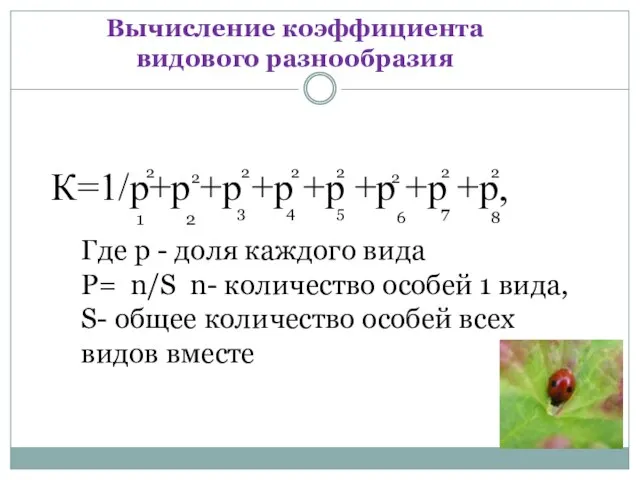 К=1/р+р +р +р +р +р +р +р, Вычисление коэффициента видового разнообразия Где