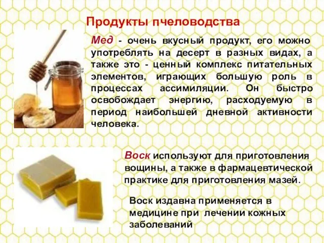 Продукты пчеловодства Мед - очень вкусный продукт, его можно употреблять на десерт