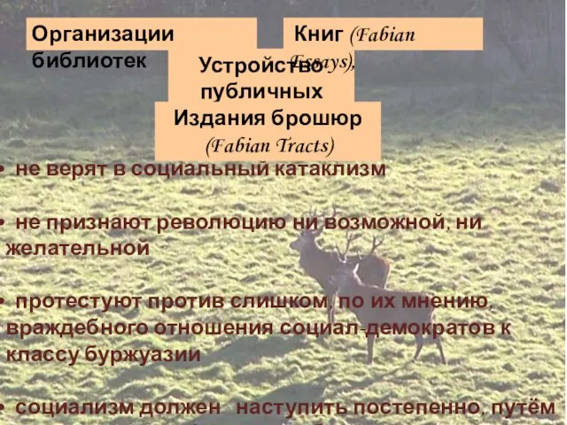 Организации библиотек не верят в социальный катаклизм не признают революцию ни возможной,