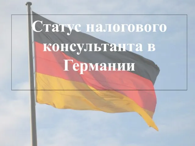 Статус налогового консультанта в Германии