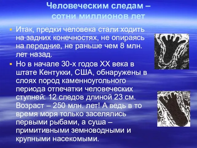 Человеческим следам – сотни миллионов лет Итак, предки человека стали ходить на