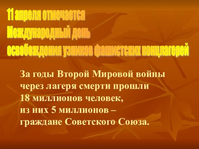 11 апреля отмечается Международный день освобождения узников фашистских концлагерей За годы Второй