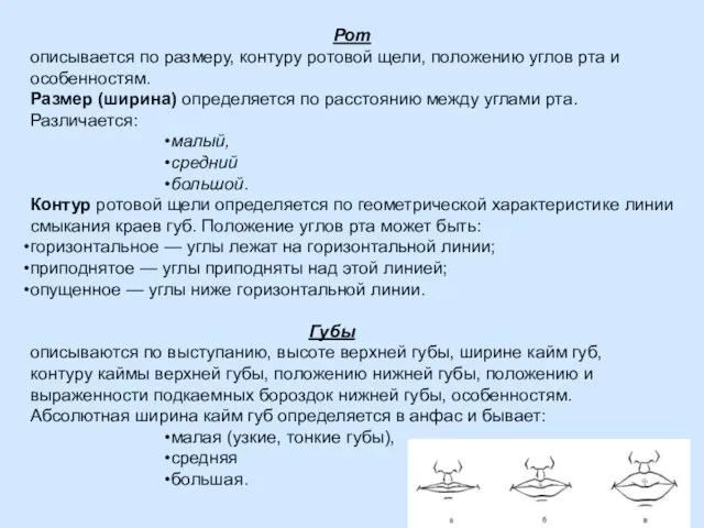 Рот описывается по размеру, контуру ротовой щели, положению углов рта и особенностям.