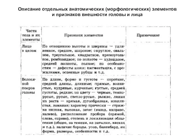 Описание отдельных анатомических (морфологических) элементов и признаков внешности головы и лица