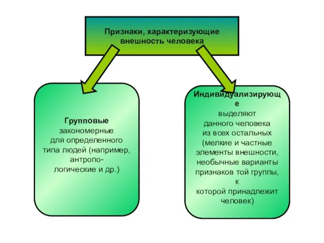 Признаки, характеризующие внешность человека Групповые закономерные для определенного типа людей (например, антропо-