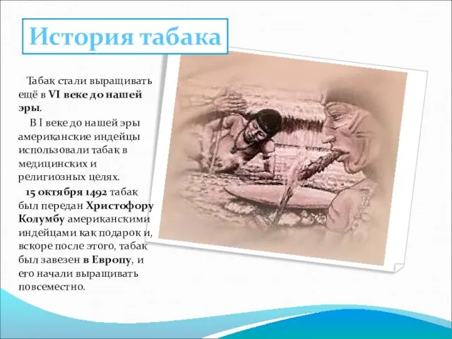 Табак стали выращивать ещё в VI веке до нашей эры. В I