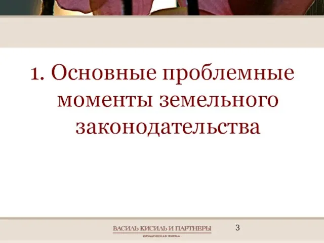 1. Основные проблемные моменты земельного законодательства