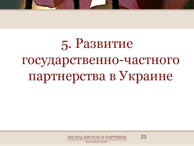 5. Развитие государственно-частного партнерства в Украине